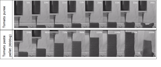 Design and sensory perception of multi-scale food structures fabricated by 3D printer Design and sensory perception of multi-scale food structures fabricated by 3D printer